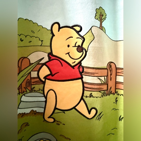 NEW Disney Winnie The Pooh Embroidered Pullover Sweatshirt - Picture 6 of 9